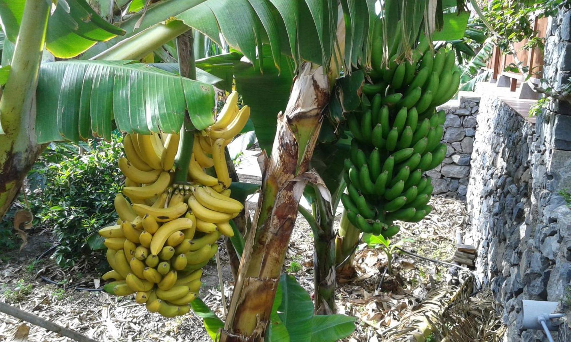 וייהרמוסו Finca Ossorio Casa Rita מראה חיצוני תמונה